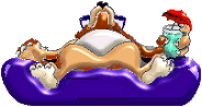 doggystay.gif (8343 bytes)