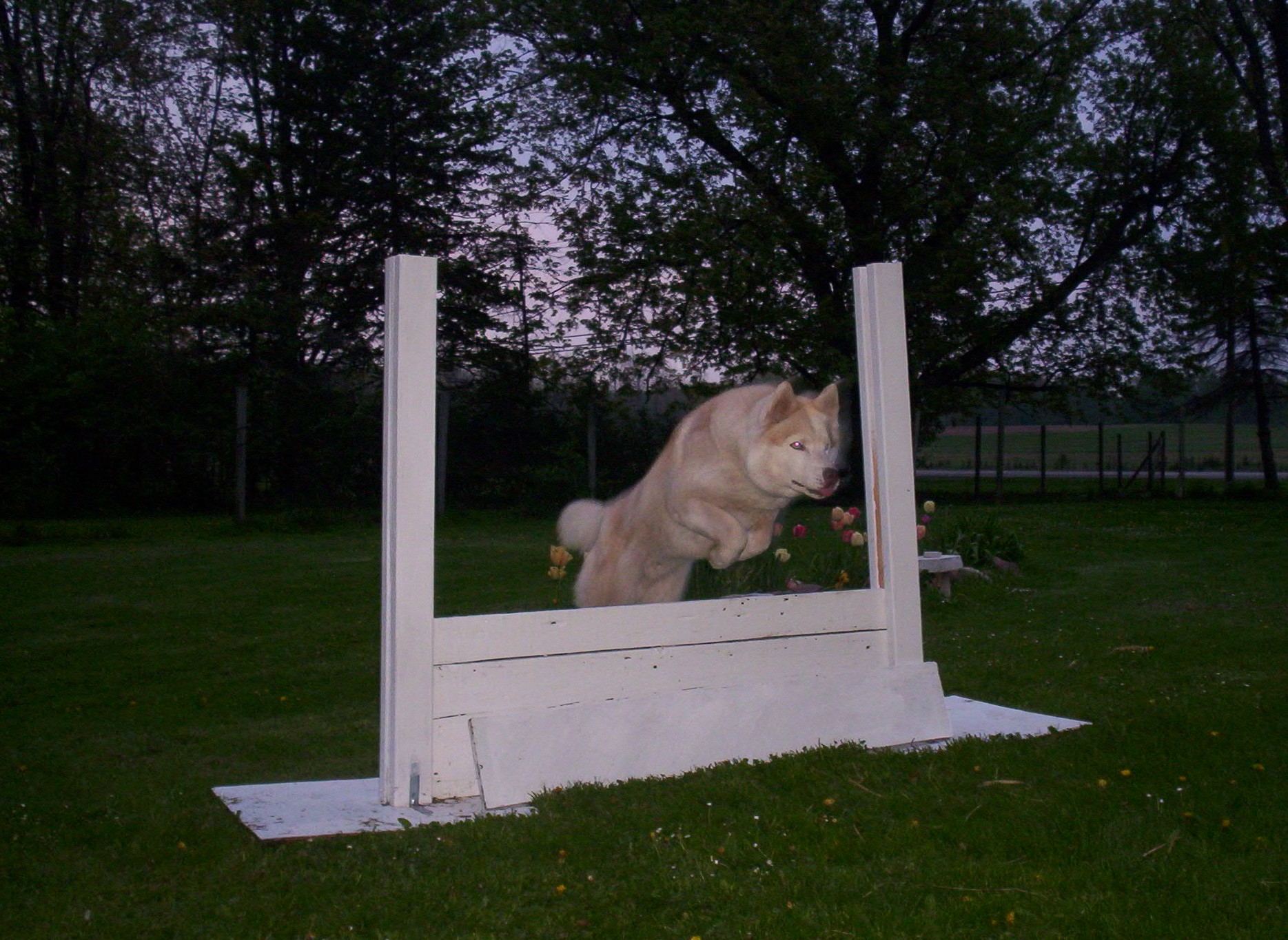 agile 008.jpg (618860 bytes)