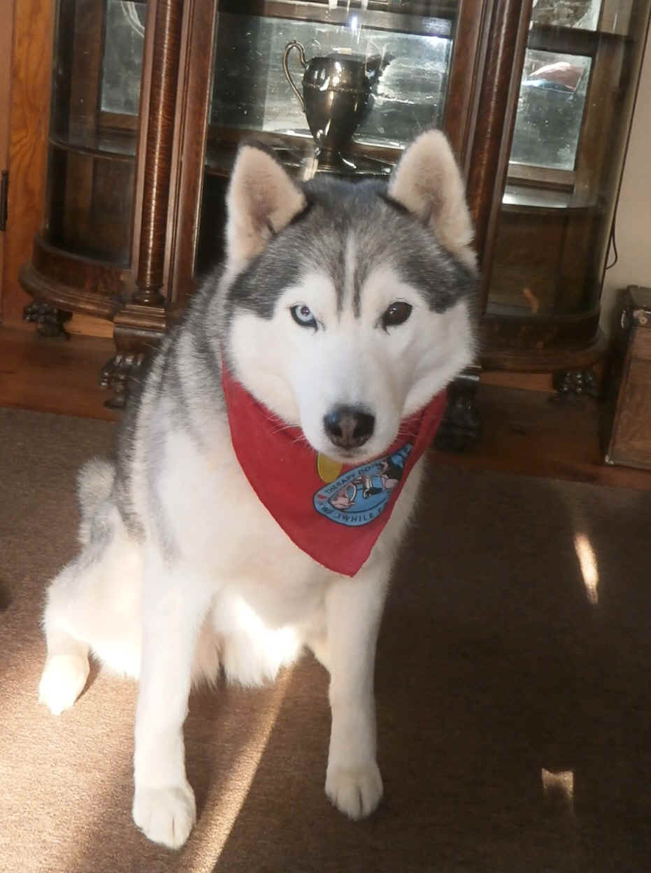 shadytherapy.jpg (316419 bytes)