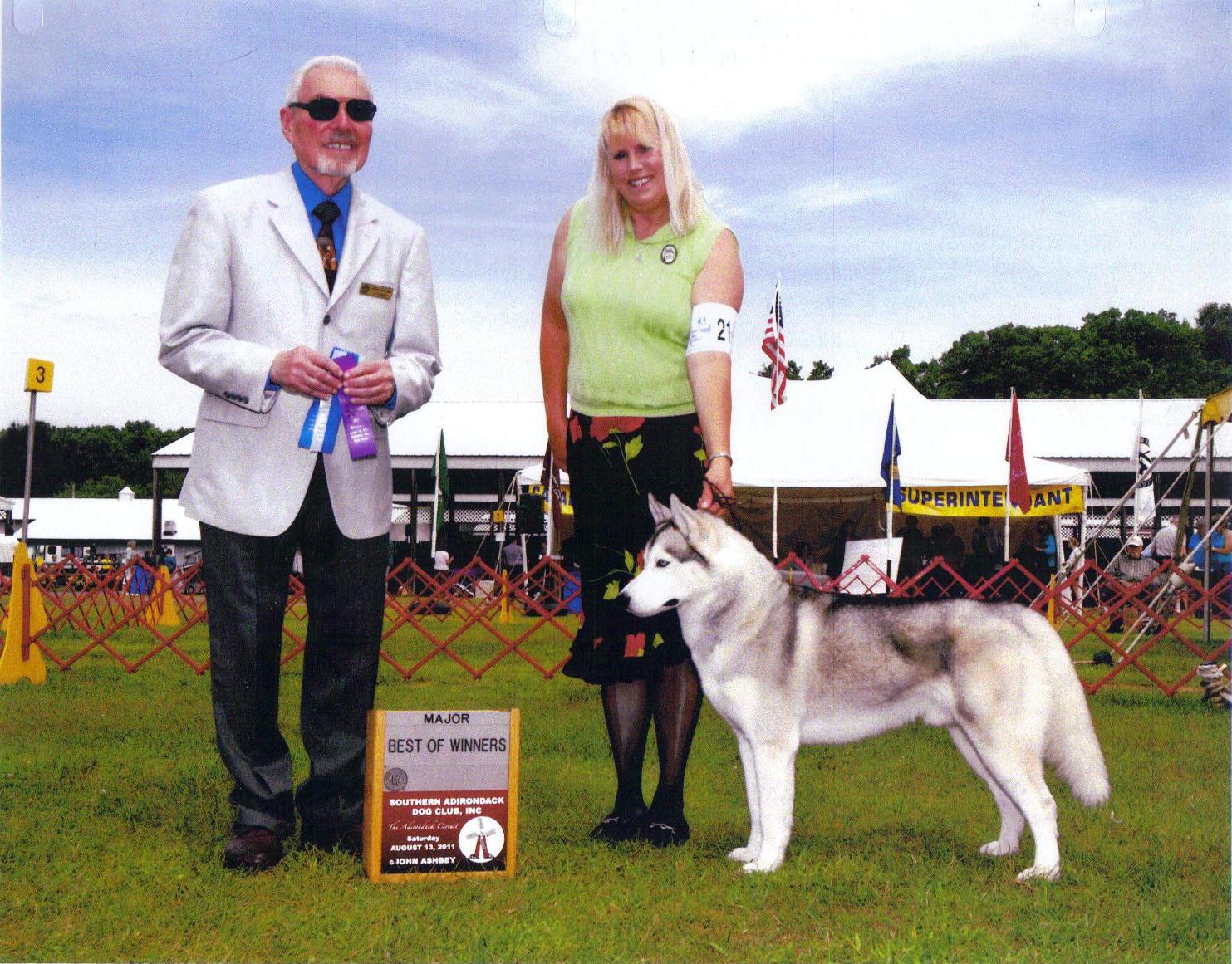 silverchief.jpg (329234 bytes)